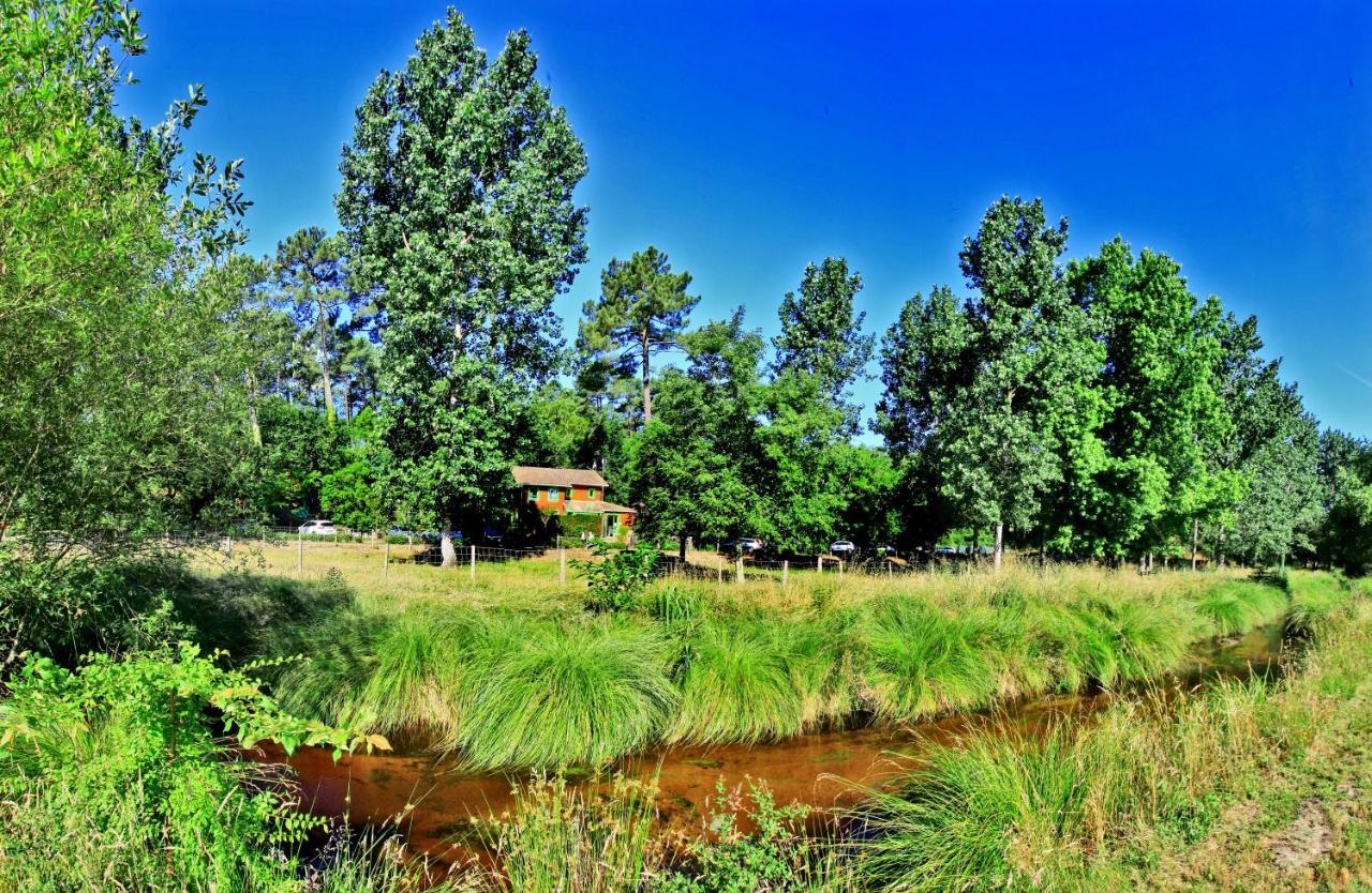 Village Nature Et Ocean A Cote De La Plage Avec Piscine Et Jacuzzi Messanges  Exterior photo